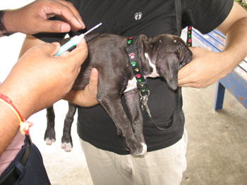 Microchip
