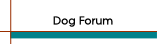 Dog Forum